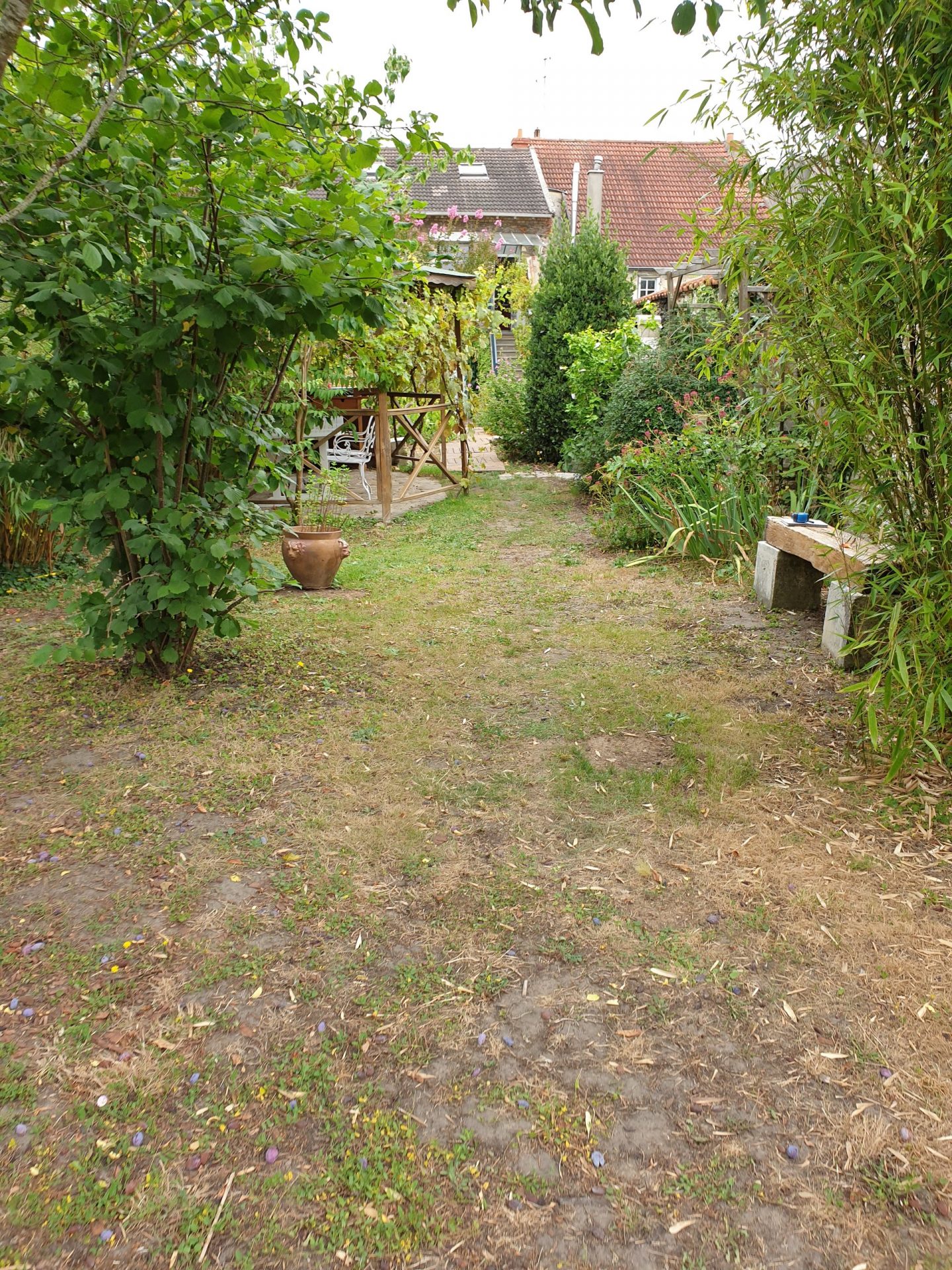 avant-projet-jardin-anglais-palaiseau Jardin avant projet - zone anglaise à Palaiseau