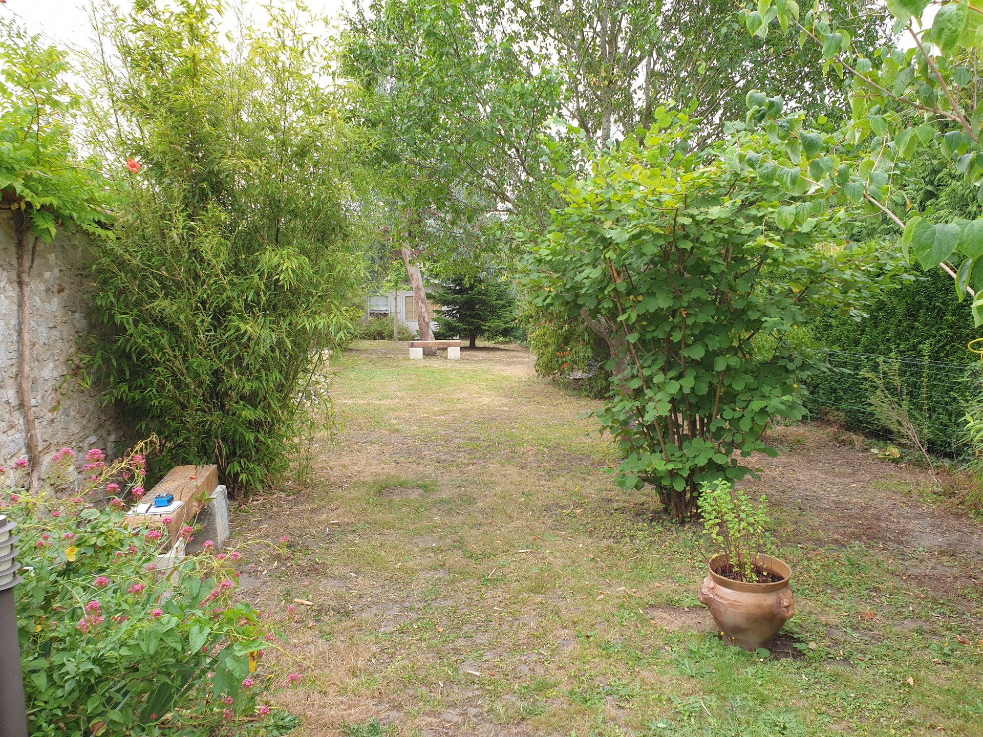 avant-projet-jardin-japonais-palaiseau Jardin avant projet - zone japonaise à Palaiseau