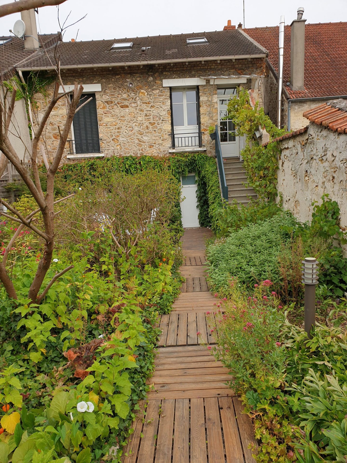 avant-projet-jardin-mediterraneen-palaiseau Jardin avant projet - zone méditerranéenne à Palaiseau