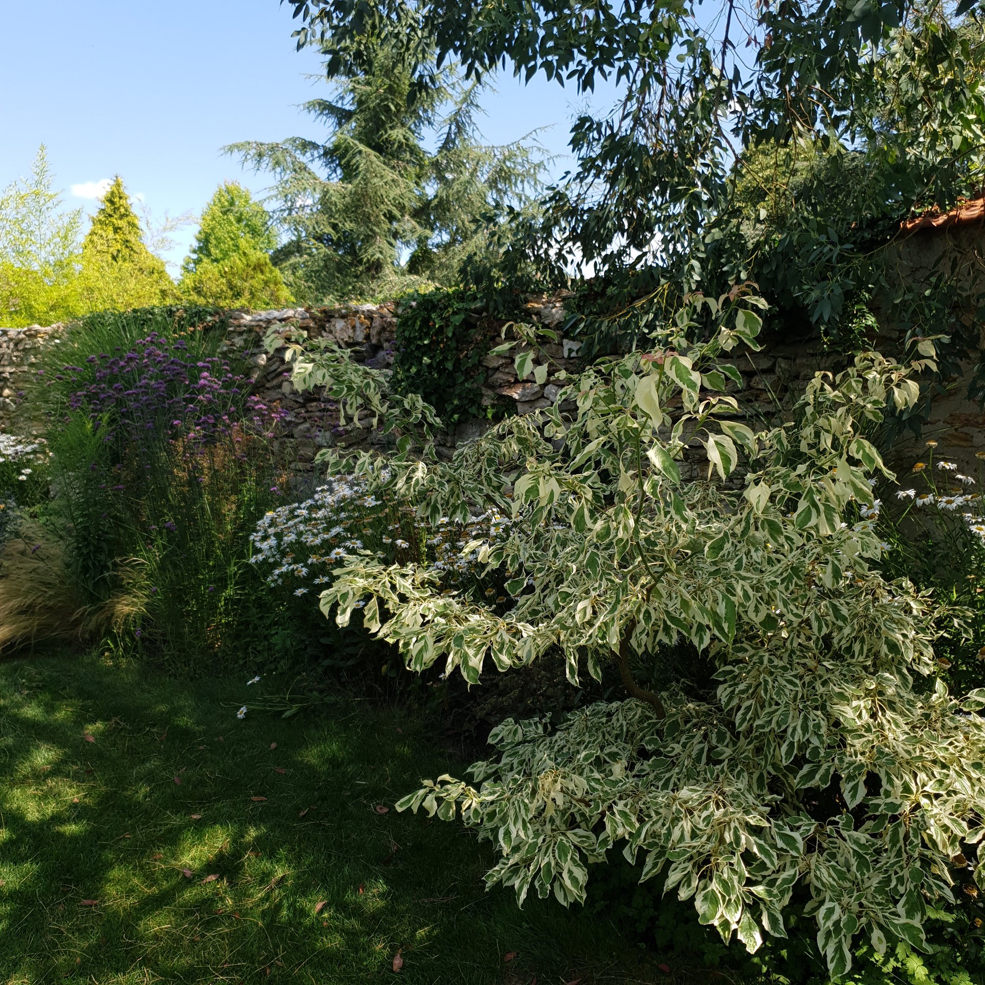 jardin-anglais-mixed-border-vivaces-palaiseau Jardin anglais avec mixed border et vivaces à Palaiseau