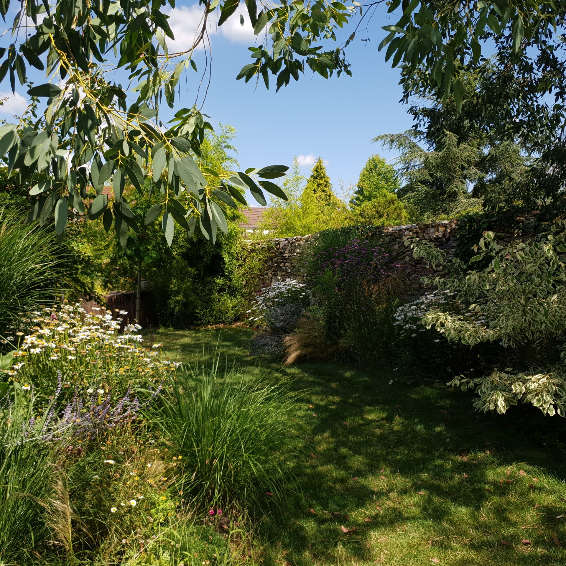 jardin-couloir-fini-palaiseau Vue d'ensemble du cheminement en zig-zag dans le jardin couloir à Palaiseau