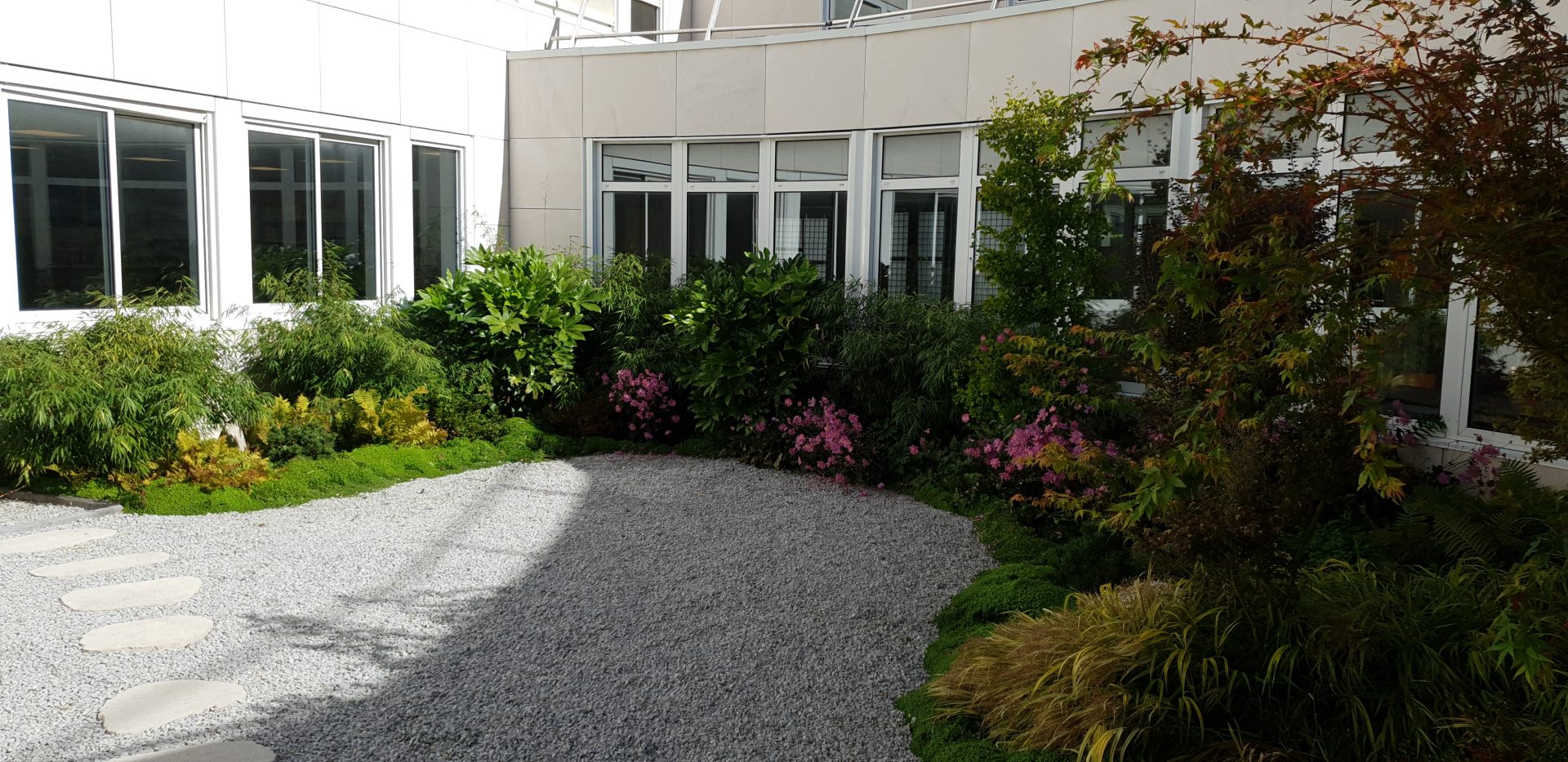 Jardin japonais Montigny-le-Bretonneux 3 ans après réalisation - allée de graviers et massifs fleuris
