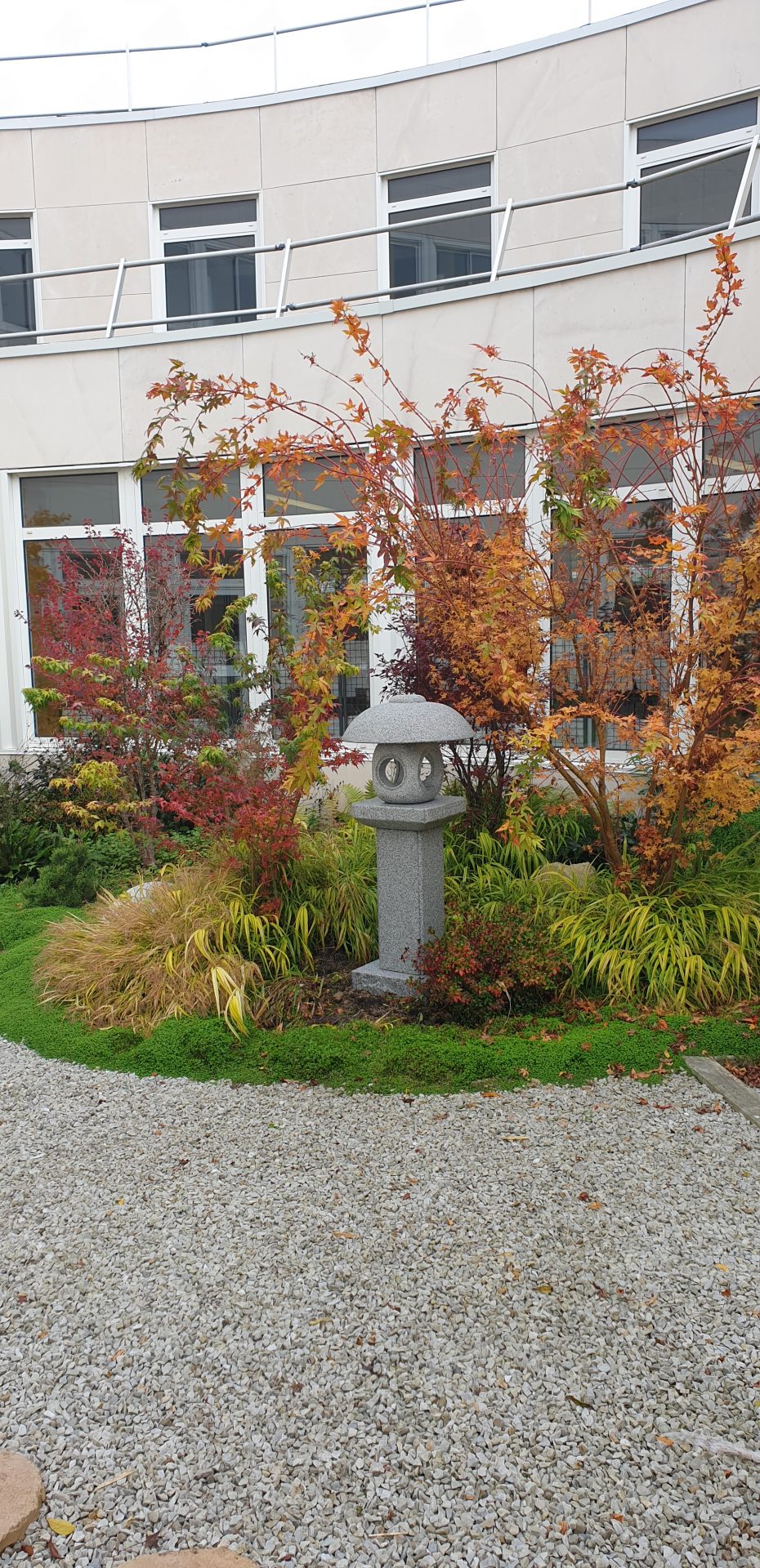 Jardin japonais Montigny-le-Bretonneux 3 ans après réalisation - lanterne japonaise et érable en automne